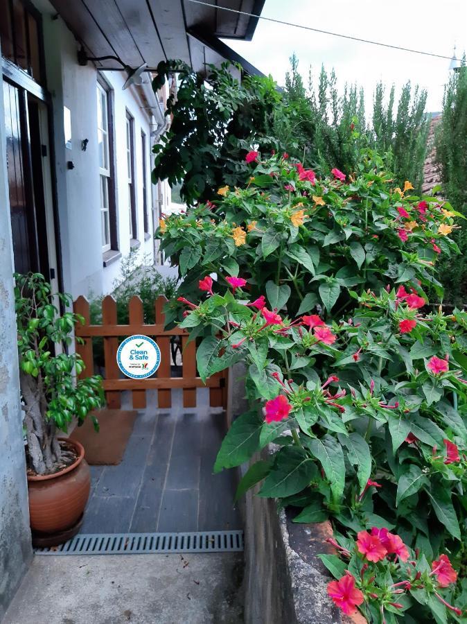 Casa Do Sr. Falcao Miranda do Corvo Esterno foto