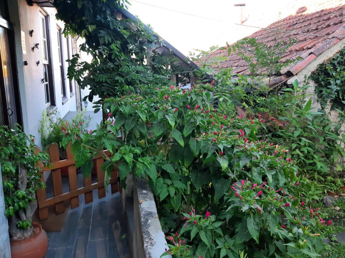 Casa Do Sr. Falcao Miranda do Corvo Esterno foto
