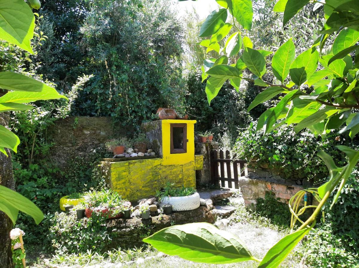 Casa Do Sr. Falcao Miranda do Corvo Esterno foto