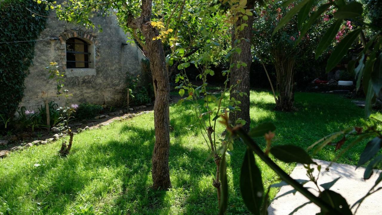 Casa Do Sr. Falcao Miranda do Corvo Esterno foto